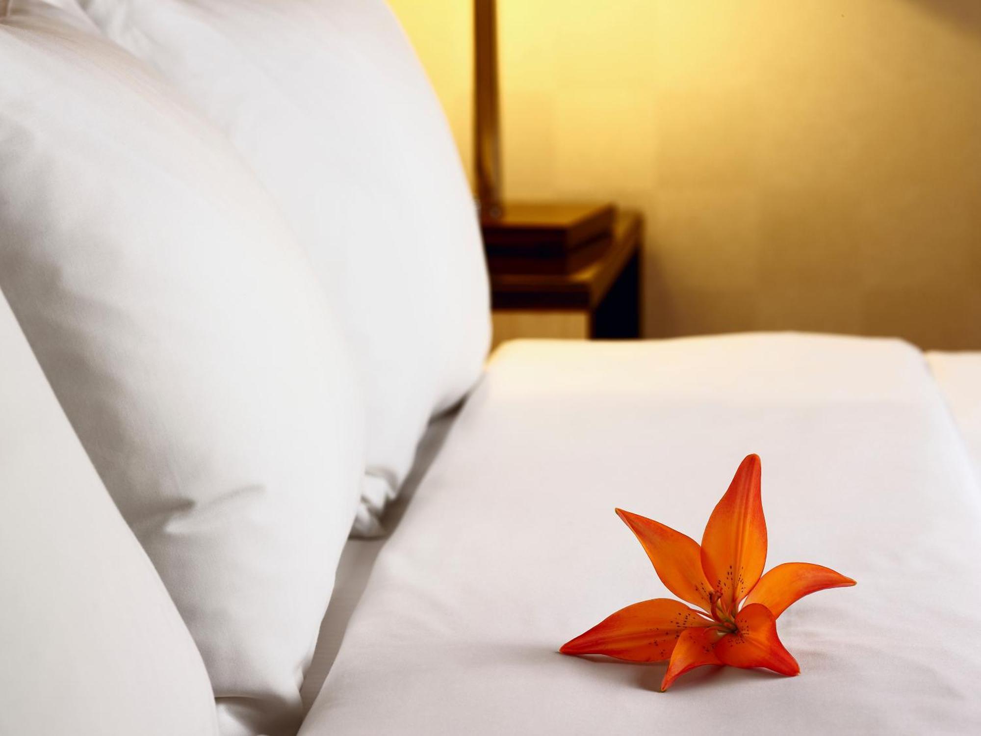 Hotel Acadia Québec Dış mekan fotoğraf